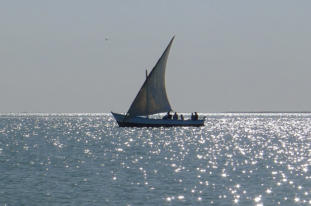 mauritania lanche banc arguin